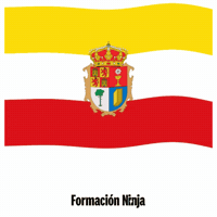 Castilla-La Mancha Flag GIF by Formación Ninja