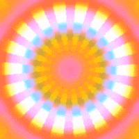 GIF by Nicole Ginelli