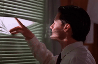 season 2 episode 20 GIF by Twin Peaks on Showtime