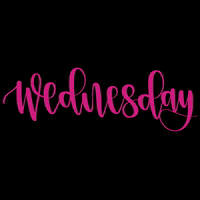 Wednesday Weekday GIF