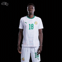 Fifa World Cup Caf GIF by Respective