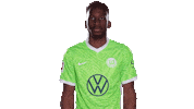 Check This Out Look Here Sticker by VfL Wolfsburg