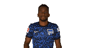 Home Swipe Up Sticker by Hertha BSC