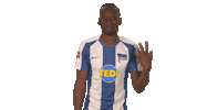 Hertha Bsc Football Sticker by Bundesliga
