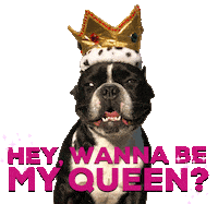 French Bulldog Love Sticker by Oscar The Frenchie