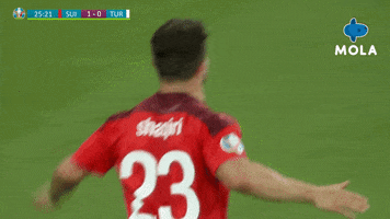 Euro 2020 Love GIF by MolaTV