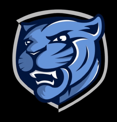 somersetpanthers giphyupload somerset academica somerset panthers GIF