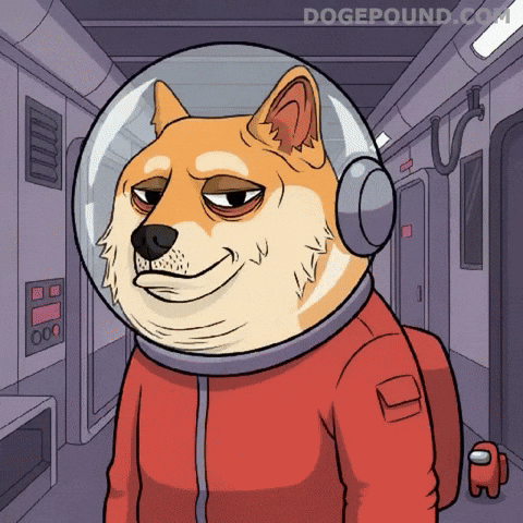 Suspicious Video Game GIF by Doge Pound