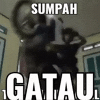 Zilanarlanda GIF
