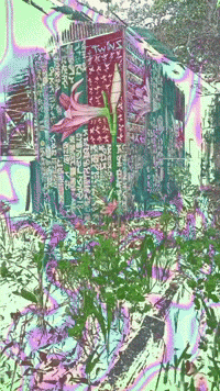 GIF by ellaknor