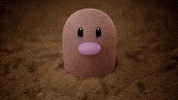 Bunny Look At Each Other GIF by Pokémon