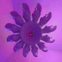 render virtual reality GIF