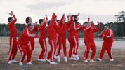Challenge Celebrate GIF by The Traitors Australia