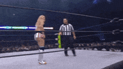 Hikaru Shida ÄEw GIF by All Elite Wrestling on TNT