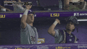 College Sports Dancing GIF by LSU Tigers