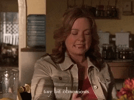 season 4 netflix GIF by Gilmore Girls 
