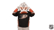Ice Hockey GIF by NHL