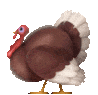 Black Friday 3D Sticker by Cleo