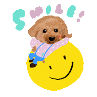 Happy Feliz Sticker