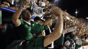 la bombonera GIF by SE Palmeiras
