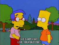 bart simpson dog GIF