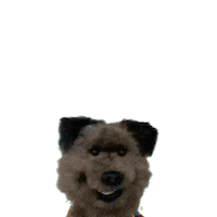 Happy Hacker T Dog Sticker by CBBC