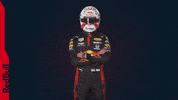 Ver Red Bull GIF by Red Bull Racing Honda