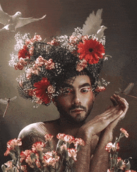MEROestudio  GIF