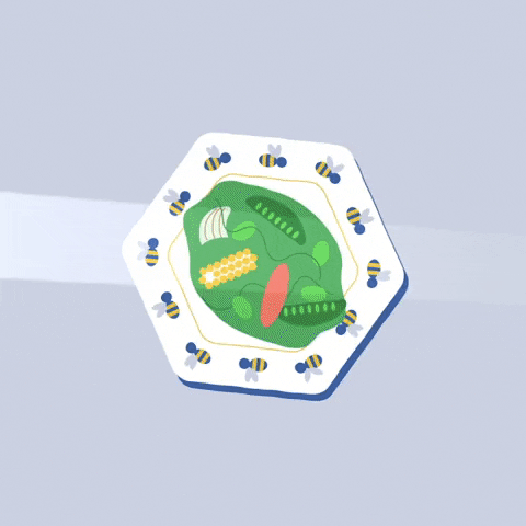 Animation Food GIF by Mochi Motion