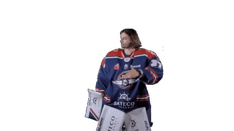 Ducs Dangers Hockey Sticker by Les Ducs d'Angers