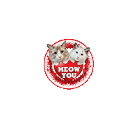 Cats Love Sticker by Pimp Yo Pets