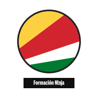 Flag Bandera Sticker by Formación Ninja