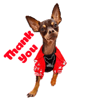 Thanks Thank You Sticker by Pimp Yo Pets