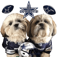 Dallas Cowboys Sticker by Pimp Yo Pets