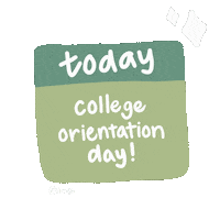 First Year College Sticker by Texas Tech University RISE