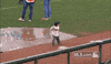 baseball GIF by MLB