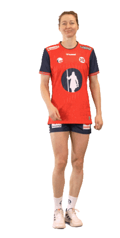 Euro 2024 Handball Sticker by Norges Håndballforbund