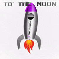 NFTes nft rocket metaverse tothemoon GIF