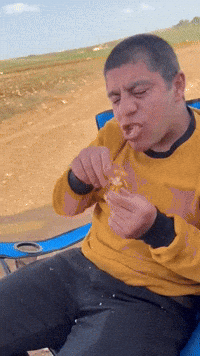 shervankurdo sipan kujan hawne GIF