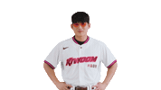 Kbo Sticker by Kiwoom Heroes Baseball Club