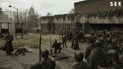 See Tom Mison GIF by Apple TV+