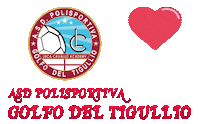 polisportivagolfodeltigullio soccer calcio golfo del tigullio pgdt Sticker
