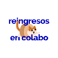Argentina Sticker by colabo
