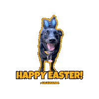 Dog Sticker
