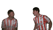 Bart Vriends Sticker by Sparta Rotterdam