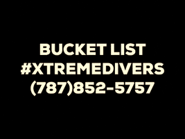 Xtremediverswest xtreme xtremediverswest xtremedivers GIF