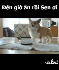 duong-gif12 GIF by Lozi Singapore Co.