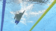 Paralympic Games Sport GIF by International Paralympic Committee
