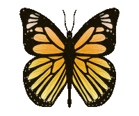 Butterfly Fluttering Sticker