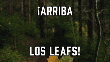 Β‘Arriba los Leafs!